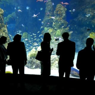 Downtown Aquarium Denver: Entry Ticket 4