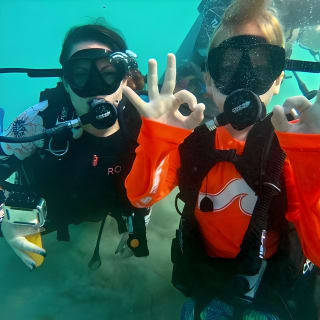 Beginner Scuba Diving with Turtles and Free Videos, San Juan 2