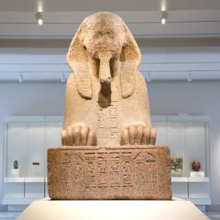 Penn Museum of Archaeology and Anthropology: Fast Track 16