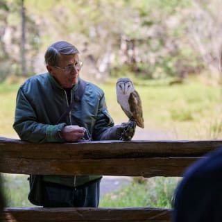 Eagles Heritage : rencontre avec des oiseaux de proie et promenade en forêt 2