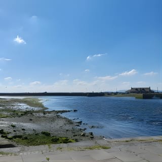 Small-Group Morning Walking Tour of Galway 11