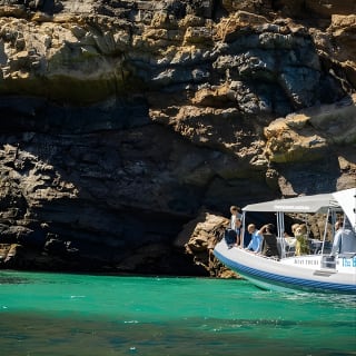 Sea Wirrina Tour - From Wirrina Cove  1