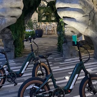Electric Bike Rentals im Greater Fort Lauderdale – Mindestdauer 2 Stunden 8