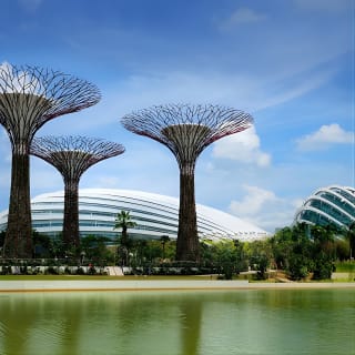 Flower Dome & Supertree Observatory 3