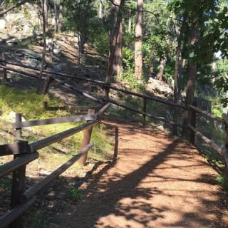 Cosmos Mystery Area Admission 5