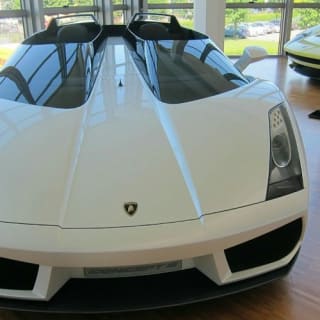 Museo Lamborghini e Museo Enzo Ferrari: Biglietto d'ingresso 19