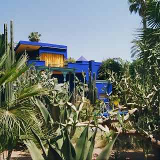 Majorelle Garden Berber and Yves Saint Laurent Museum Entry 3