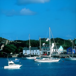 Scenic West Cork to Mizen Head departing from Cork City. Guided. Full Day 5