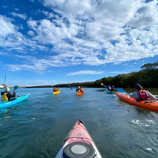 Adelaide Dolphin Sanctuary e cimitero di navi: tour in kayak 13