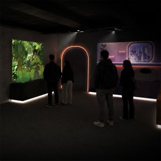 Museo del gatto 2