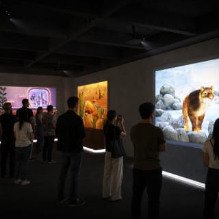 Museo del gatto 5