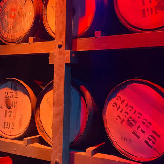 Bacardi Rum Distillery and Old San Juan Tour 7