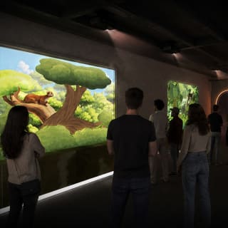Museo del gatto 6