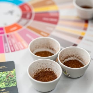 Brussels Coffee Show 2026 : le festival incontournable du café de spécialité et du chocolat en Belgique revient les 6, 7 et 8 novembre 7