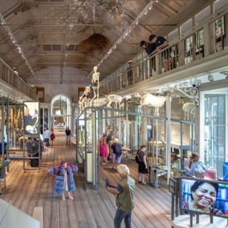 ARTIS Amsterdam Koninklijke Dierentuin & Groote Museum: Skip-the-Line Entree Ticket 23