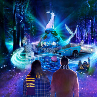 Harry Potter™: Una experiencia en el Bosque Prohibido 2