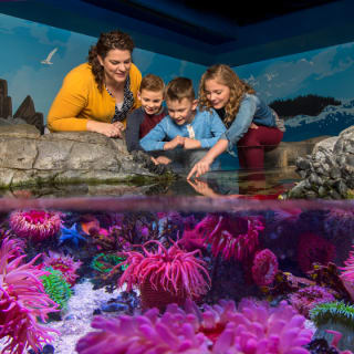 Bundle: Bubble Planet y SEA LIFE en Mall of America - Tarjeta regalo 8