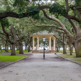 Discover Charleston! (Small Group Walking Tour - Max 10 Guests) 4