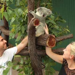 Port Douglas Wildlife Habitat 3