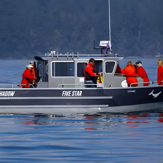 Ultimate Marine Whale & Wildlife Tour 6