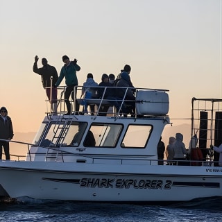 Shark Explorers 2