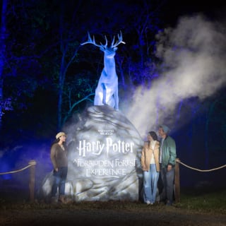 Harry Potter™: Una experiencia en el Bosque Prohibido 5