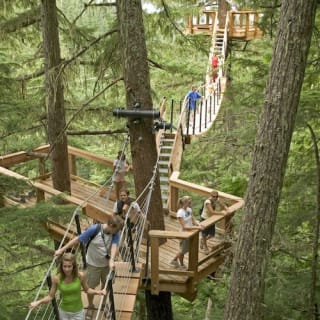 Whistler Ziptrek Ecotours: Aventura en tirolina 4