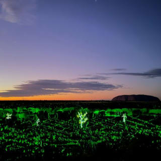 Field of Light Uluru: General Admission + Transfer 5