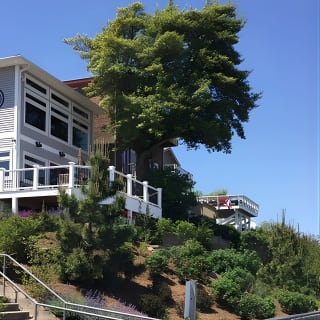 Chesapeake Beach Guided Walking Tour - The Cliffs 2