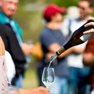 Napa and Sonoma Wine Country Full-Day Tour from San Francisco 17