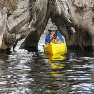 5 heures d'activité kayak au lac Norris avec déjeuner 4
