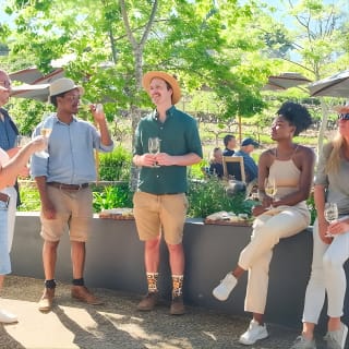 Constantia Wine Walk Storytelling Vineyard Tour with Lunch 7