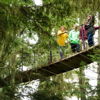 Whistler Ziptrek Ecotours: Aventura en tirolina 8
