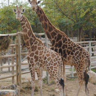 Terra Natura & Aqua Natura Murcia 2