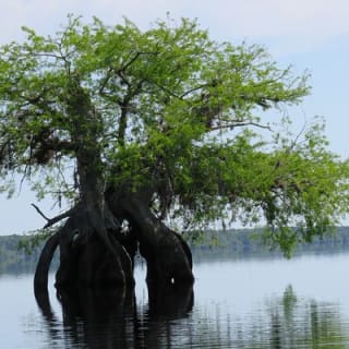 5 heures d'activité kayak au lac Norris avec déjeuner 9