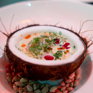 Dinners and Brunches: Apapaxoa GastroCultural Festival Xcaret 2025 - Playa del Carmen 2