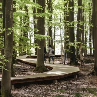 The Forest Tower and Forgotten Giants-A day tour from Copenhagen 9