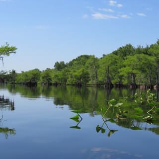 5 heures d'activité kayak au lac Norris avec déjeuner 10
