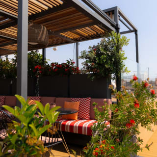 Menú de Domingo: arroces y tardeo en la Terraza de Vivi 6
