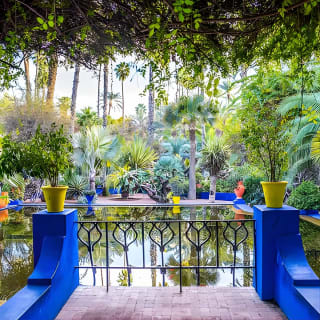 Majorelle Garden Berber and Yves Saint Laurent Museum Entry 4