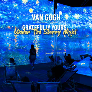 Gratefully Yours Under the Starry Night - Van Gogh Albany 1