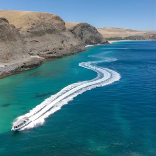 Sea Wirrina Tour - From Wirrina Cove  2