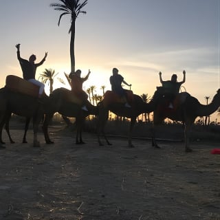 Balade à dos de chameau au coucher du soleil dans la palmeraie de Marrakech 4