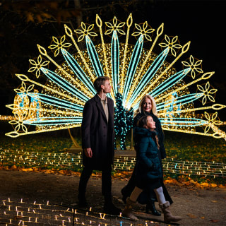 Imperial Lights 4
