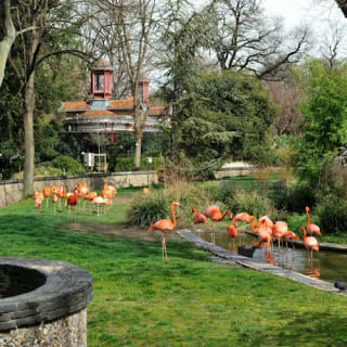 La Ménagerie, le Zoo du Jardin des Plantes de Paris : billet coupe-file 4