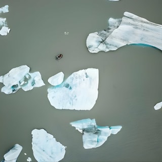 Bears, Trains & Icebergs Tour 4