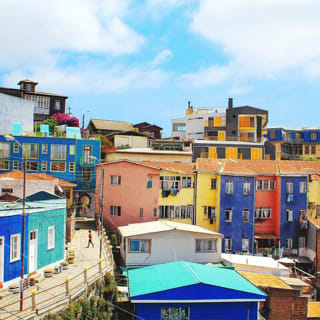 Tour Vino, Museo Neruda, Valparaíso y Viña del Mar 1