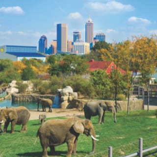 Indy Attractions Pass 2