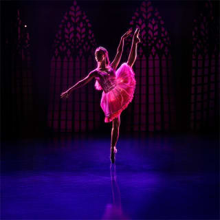 Ballet of Lights: Sleeping Beauty in a Sparkling Show - Gift Card 2