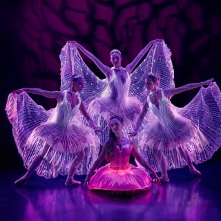 Ballet of Lights: Sleeping Beauty in a Sparkling Show - Gift Card 4